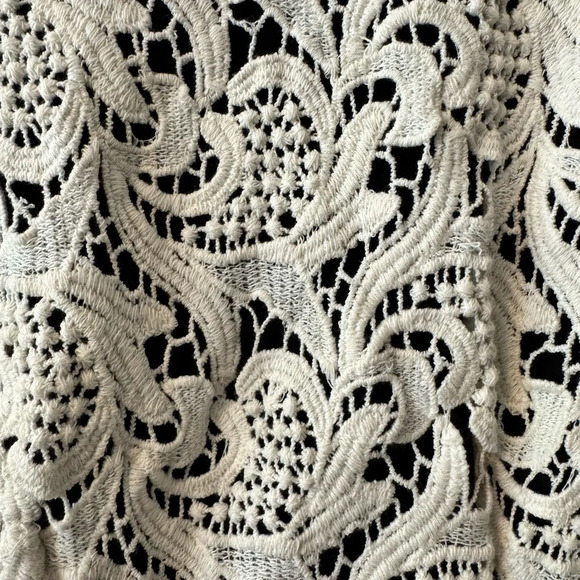 Maeve Anthropologie Ivory Black Lace
Peplum Top Size 2 - Picture 3 of 8
